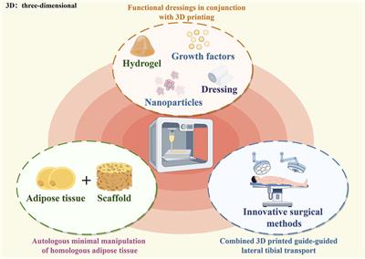 Application of 3D printing in the treatment of diabetic foot ulcers: current status and new insights